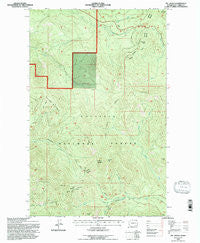 Mt. Leona Washington Historical topographic map, 1:24000 scale, 7.5 X 7.5 Minute, Year 1992