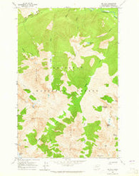 Mt Lyall Washington Historical topographic map, 1:24000 scale, 7.5 X 7.5 Minute, Year 1963