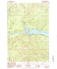 Mt Mitchell Washington Historical topographic map, 1:24000 scale, 7.5 X 7.5 Minute, Year 1984