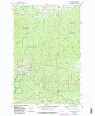 Mt Spokane Washington Historical topographic map, 1:24000 scale, 7.5 X 7.5 Minute, Year 1973