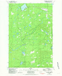 Nahwatzel Lake Washington Historical topographic map, 1:24000 scale, 7.5 X 7.5 Minute, Year 1981
