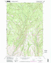 Naneum Canyon Washington Historical topographic map, 1:24000 scale, 7.5 X 7.5 Minute, Year 1966