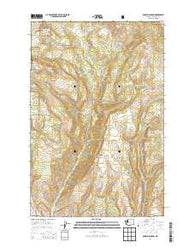 Naneum Canyon Washington Current topographic map, 1:24000 scale, 7.5 X 7.5 Minute, Year 2014