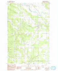 Napavine Washington Historical topographic map, 1:24000 scale, 7.5 X 7.5 Minute, Year 1985