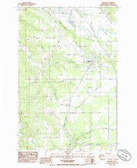 Napavine Washington Historical topographic map, 1:24000 scale, 7.5 X 7.5 Minute, Year 1985