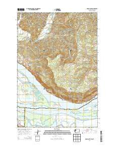 Nassa Point Washington Current topographic map, 1:24000 scale, 7.5 X 7.5 Minute, Year 2014