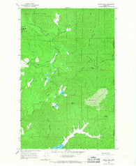 Nelson Peak Washington Historical topographic map, 1:24000 scale, 7.5 X 7.5 Minute, Year 1965