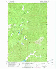 Nelson Peak Washington Historical topographic map, 1:24000 scale, 7.5 X 7.5 Minute, Year 1965