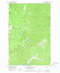 Nelson Peak Washington Historical topographic map, 1:24000 scale, 7.5 X 7.5 Minute, Year 1965