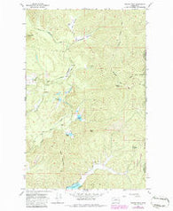 Nelson Peak Washington Historical topographic map, 1:24000 scale, 7.5 X 7.5 Minute, Year 1965