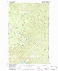 Nelson Peak Washington Historical topographic map, 1:24000 scale, 7.5 X 7.5 Minute, Year 1965