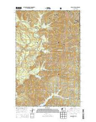 Nelson Peak Washington Current topographic map, 1:24000 scale, 7.5 X 7.5 Minute, Year 2014