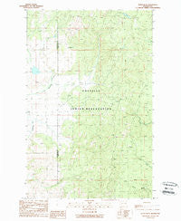 Nespelem NE Washington Historical topographic map, 1:24000 scale, 7.5 X 7.5 Minute, Year 1989