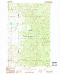 Nespelem NE Washington Historical topographic map, 1:24000 scale, 7.5 X 7.5 Minute, Year 1989