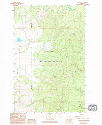 Nespelem NE Washington Historical topographic map, 1:24000 scale, 7.5 X 7.5 Minute, Year 1989