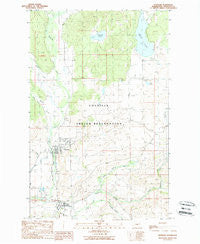 Nespelem Washington Historical topographic map, 1:24000 scale, 7.5 X 7.5 Minute, Year 1989