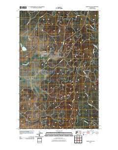 Nespelem NE Washington Historical topographic map, 1:24000 scale, 7.5 X 7.5 Minute, Year 2011