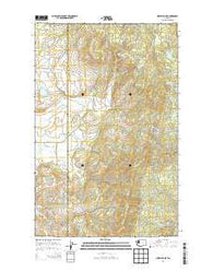 Nespelem NE Washington Current topographic map, 1:24000 scale, 7.5 X 7.5 Minute, Year 2014