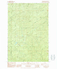 Newaukum Lake Washington Historical topographic map, 1:24000 scale, 7.5 X 7.5 Minute, Year 1987