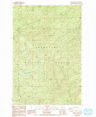 Newaukum Lake Washington Historical topographic map, 1:24000 scale, 7.5 X 7.5 Minute, Year 1987