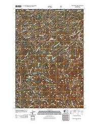 Newaukum Lake Washington Historical topographic map, 1:24000 scale, 7.5 X 7.5 Minute, Year 2011