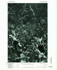 Newman Lake Washington Historical topographic map, 1:24000 scale, 7.5 X 7.5 Minute, Year 1978