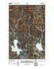 Newman Lake Washington Historical topographic map, 1:24000 scale, 7.5 X 7.5 Minute, Year 2011