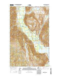 Nighthawk Washington Current topographic map, 1:24000 scale, 7.5 X 7.5 Minute, Year 2014