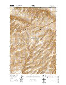 Nine Canyon Washington Current topographic map, 1:24000 scale, 7.5 X 7.5 Minute, Year 2013