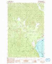 Ninemile Flat Washington Historical topographic map, 1:24000 scale, 7.5 X 7.5 Minute, Year 1985
