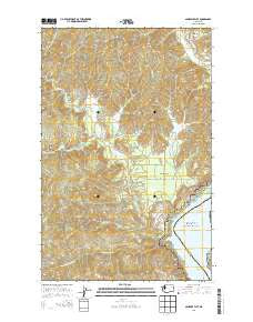 Ninemile Flat Washington Current topographic map, 1:24000 scale, 7.5 X 7.5 Minute, Year 2014