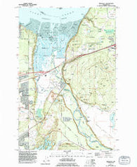 Nisqually Washington Historical topographic map, 1:24000 scale, 7.5 X 7.5 Minute, Year 1959