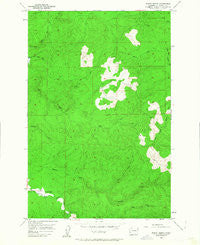 North Nemah Washington Historical topographic map, 1:24000 scale, 7.5 X 7.5 Minute, Year 1955