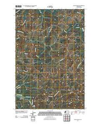 North Nemah Washington Historical topographic map, 1:24000 scale, 7.5 X 7.5 Minute, Year 2011