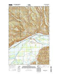 Oak Point Washington Current topographic map, 1:24000 scale, 7.5 X 7.5 Minute, Year 2014