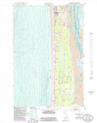 Ocean Park Washington Historical topographic map, 1:24000 scale, 7.5 X 7.5 Minute, Year 1949