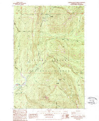 Ohanapecosh Hot Springs Washington Historical topographic map, 1:24000 scale, 7.5 X 7.5 Minute, Year 1989