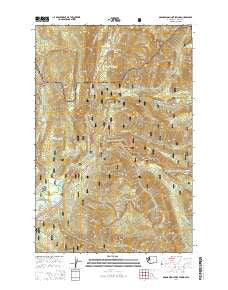 Ohanapecosh Hot Springs Washington Current topographic map, 1:24000 scale, 7.5 X 7.5 Minute, Year 2014