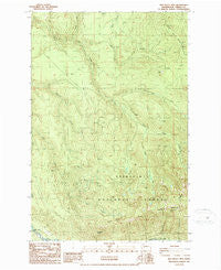 Old Baldy Mtn. Washington Historical topographic map, 1:24000 scale, 7.5 X 7.5 Minute, Year 1986