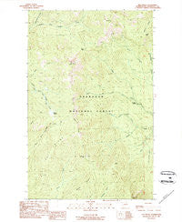 Old Baldy Washington Historical topographic map, 1:24000 scale, 7.5 X 7.5 Minute, Year 1989