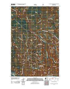 Old Baldy Mountain Washington Historical topographic map, 1:24000 scale, 7.5 X 7.5 Minute, Year 2011
