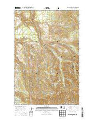 Old Baldy Mountain Washington Current topographic map, 1:24000 scale, 7.5 X 7.5 Minute, Year 2014