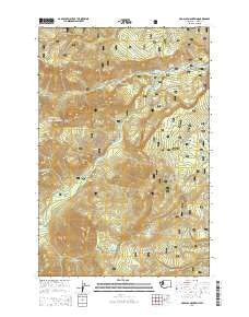 Old Scab Mountain Washington Current topographic map, 1:24000 scale, 7.5 X 7.5 Minute, Year 2014