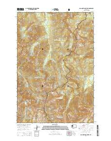 Old Snowy Mountain Washington Current topographic map, 1:24000 scale, 7.5 X 7.5 Minute, Year 2014