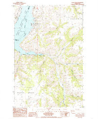 Olsen Canyon Washington Historical topographic map, 1:24000 scale, 7.5 X 7.5 Minute, Year 1985