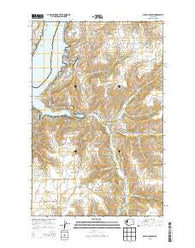 Olsen Canyon Washington Current topographic map, 1:24000 scale, 7.5 X 7.5 Minute, Year 2013
