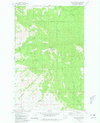 Omak Mountain Washington Historical topographic map, 1:24000 scale, 7.5 X 7.5 Minute, Year 1980