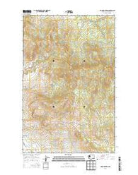 Omak Mountain Washington Current topographic map, 1:24000 scale, 7.5 X 7.5 Minute, Year 2014