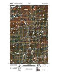 Onion Creek Washington Historical topographic map, 1:24000 scale, 7.5 X 7.5 Minute, Year 2011