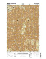 Oregon Butte Washington Current topographic map, 1:24000 scale, 7.5 X 7.5 Minute, Year 2014